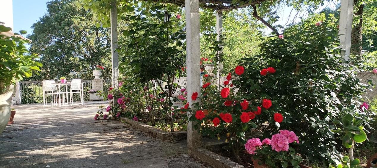 Casavacanze La Vigna Arenabianca Екстер'єр фото